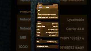 How To Find Ssn Sim Serial Number On Iphone