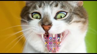 Putt-Putt And Peps Dog On A Stick. Full With Commentary