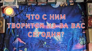 Что с ним творится из-за Вас сегодня?🔮😱💣💥🔥✨️🪄🍀