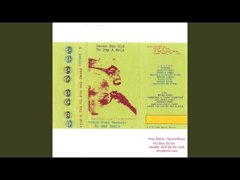 Amy Denio — Never Too Old To Pop A Hole
