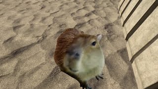 A Capybara in Halo 3!