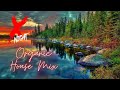 X-Night - Organic House Mix | 4k Beautiful Nature