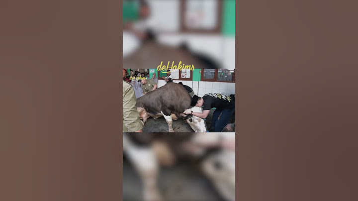 PERPISAHAN DENGAN NICKI🥺#sapi #dehakimschannel #dehakim #dehakims #terending #viralreels #viralnews