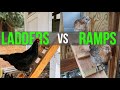 Chicken coop ladders or ramps  is one better