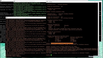 DataGuard Switchover between RAC and Single Instance
