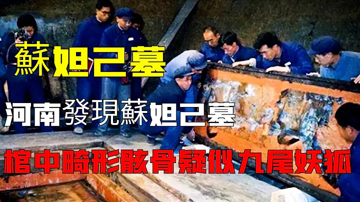 中国河南发现苏妲己墓，墓中龟甲暴露真相，苏妲己被冤枉了3600年？ - 天天要闻