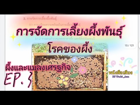 วีดีโอ: การตรวจผึ้ง. อาณาจักรแห่งผึ้ง - ตอนที่สาม