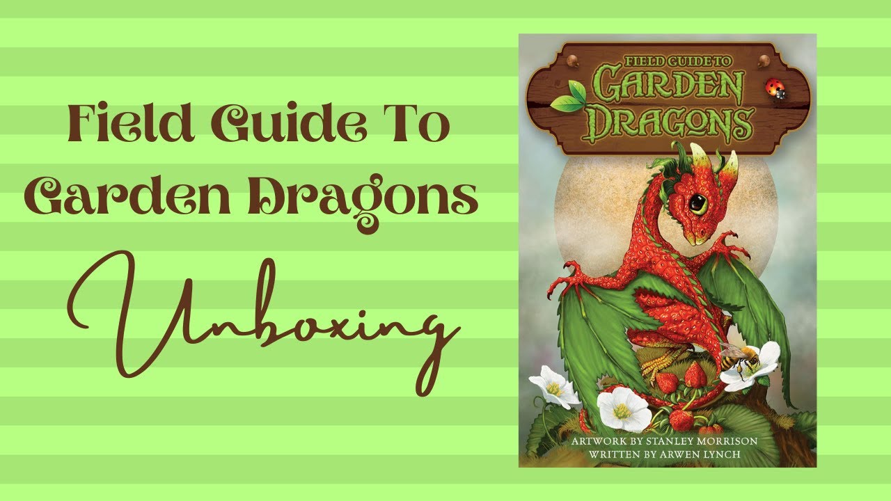 Field Guide to Garden Dragons Oracle Deck Unboxing