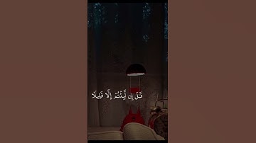 قرأن كريم /اني جزيتهم اليوم بما صبرو /القارئ إسلام صبحي #قران_كريم #اسلام_صبحي