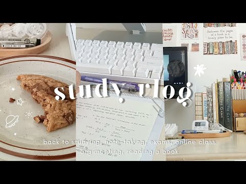 🌻 study vlog | back to studying 📑 exams, online class, org work ✨ engineering student