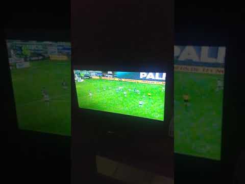 Palmeiras tetracampeão da Copa do Brasil