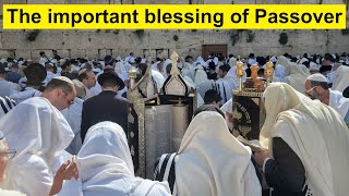 Significance of the Priestly Blessing at the Western Wall in Jerusalem includes valuable information