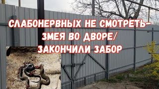 #366ЗМЕЯ ВО ДВОРЕ/ЗАКОНЧИЛИ ЗАБОР