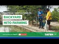 Magandang pagkakitaan: Practical Innovations in Backyard HIto Farming | Episode 112