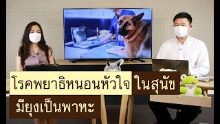 โรคพยาธิหนอนหัวใจในสุนัข | รายการ pet care onair