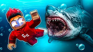 Selamatkan Diri Korang! Jerung Megalodon Masih Wujud! (Roblox Malaysia)