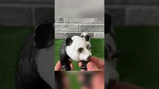 домашние животные, дикие животные