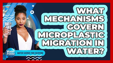 What Mechanisms Govern Microplastic Migration in Water?