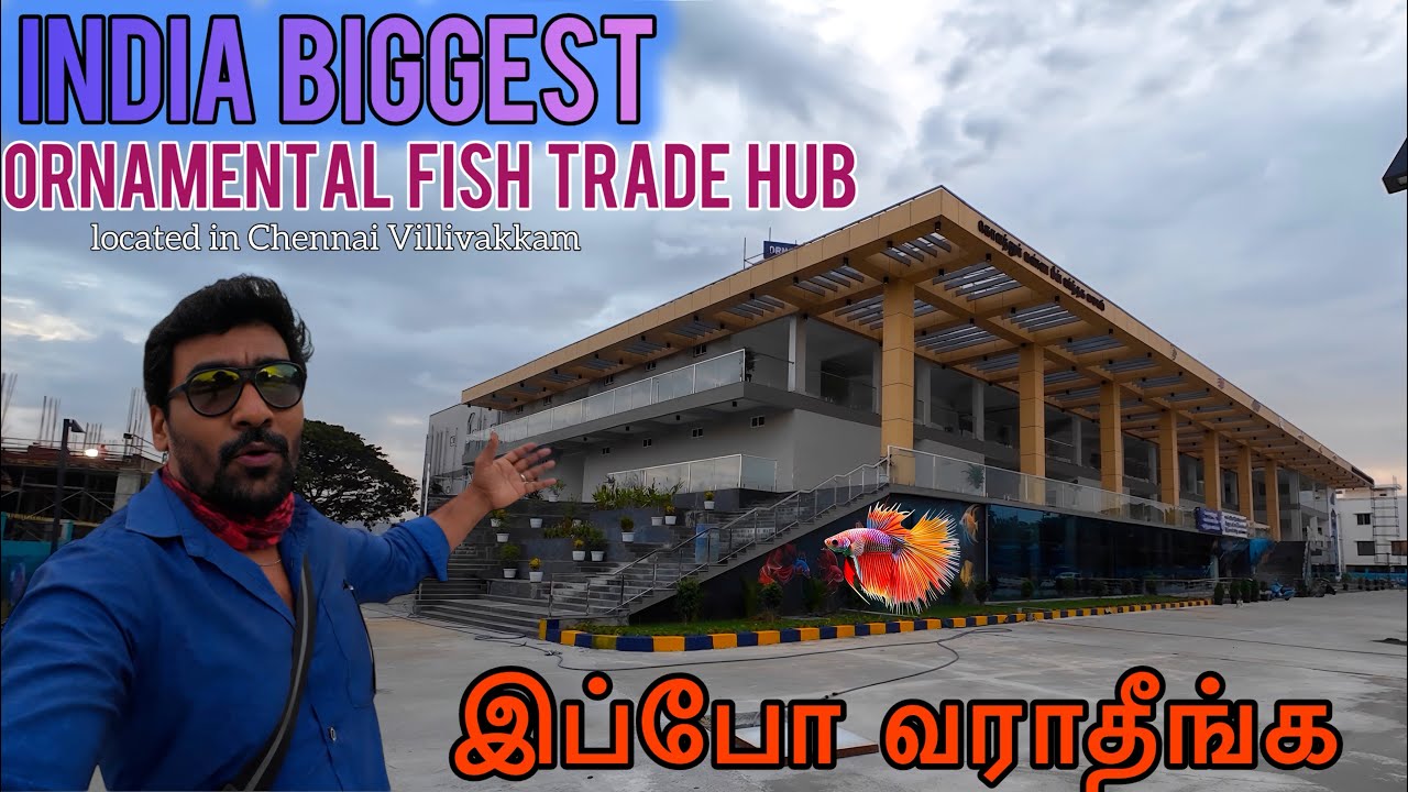 CHENNAI KOLATHUR Ornamental FISH TRADE CENTRE | கொளத்தூர் வண்ண மீன் வர்த்தக மையம் @jpepics