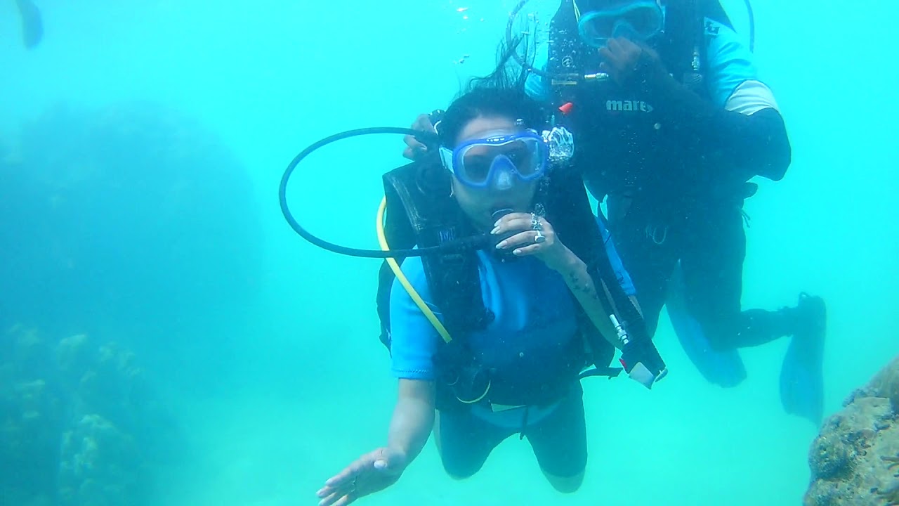 My scuba diving experience YouTube