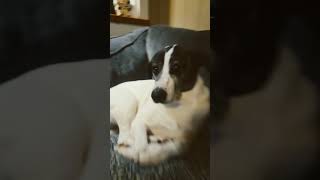 February 26, 2025 6S