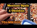 Tucson Gem And Mineral Show 2020 Mexican Opals & Obsidian