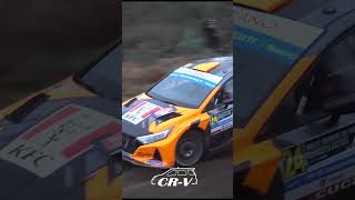 ERC Rally Serras de Fafe 2023 #rallycar #crash #automobile #rally #erc #wrc #rallycrash #racing