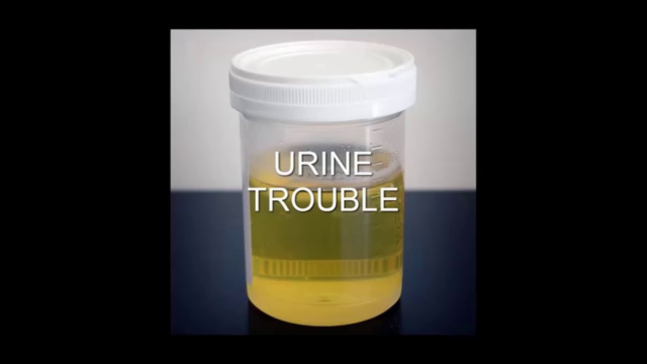 Urine Trouble - Rendall's Audio e-Newsletter - Dec 7 2015