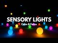 Calming Classroom Lights & Music for Autism Support | Peaceful ASMR