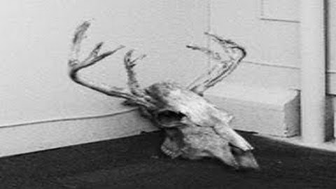 SCP-323 Wendigo Skull | Object Class: Euclid | Transfiguration / mind-affecting scp