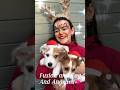 Reindeer Face Paint Tutorial