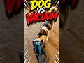 Dog vs Vacuum Moments! 😂 #pawventure #shorts