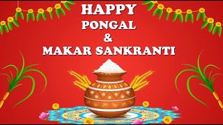Happy Pongal & Sankranti 2020