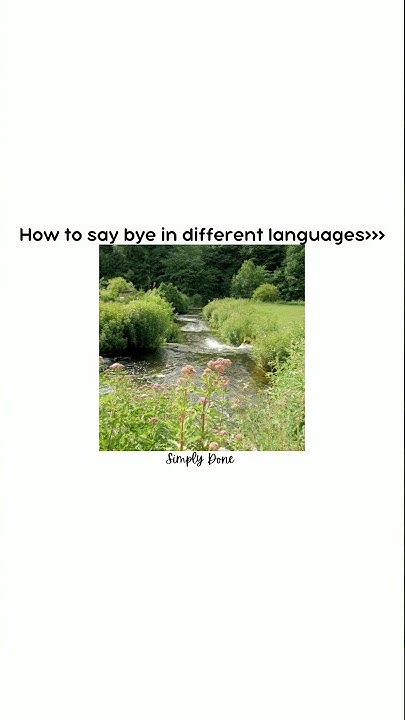how-to-say-bye-in-different-languages-howto-bye-language-trending