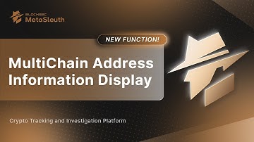 MetaSleuth New feature: MultiChain Address Information Display
