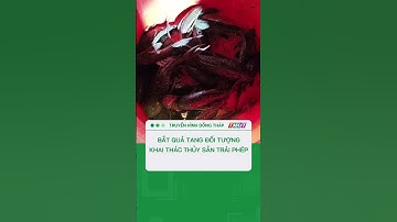 Đồng Tháp: Bắt quả tang đối tượng khai thác thủy sản trái phép #shorts