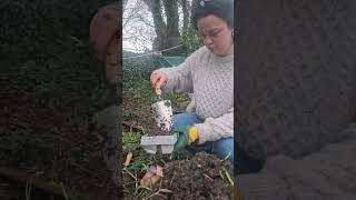 i am going to create a beautiful food garden! #garden #sustainablegarden #ediblegarden
