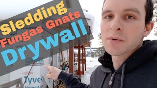 Week 1 2021 - Sledding / Fungas Gnats / Drywall in the Shop and More