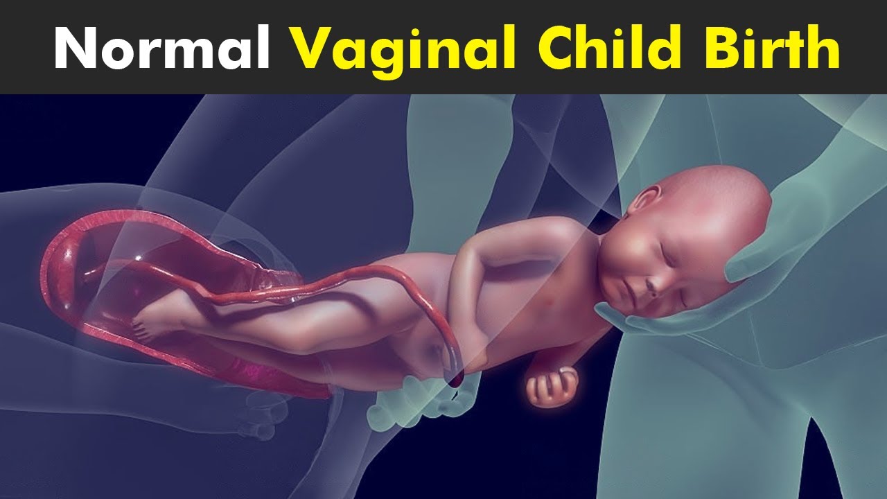Vibrant Vaginal Birth At Home Capture for Mobile Vibrant Vaginal Birth At Home Capture for Mobile
