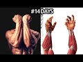 How to Build Huge Forearm Muscles: Maximizing Your Grip Strength