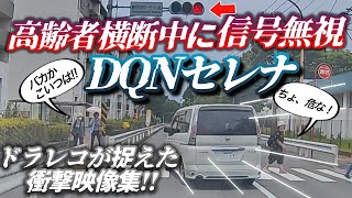 【ドラレコ】横断歩道を渡る歩行者無視の日産セレナの危険運転