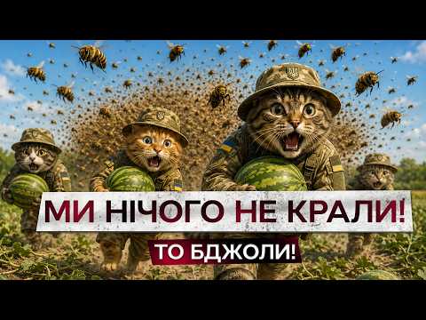 ВІЙСЬКОВІ ЗНОВУ ПІДІРВАЛИ МЕРЕЖУ! ЦІ жарти від ЗСУ ДОВЕДУТЬ ВАС до СЛІЗ від СМІХУ
