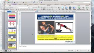 A&P Assignment 2 P4 & M1