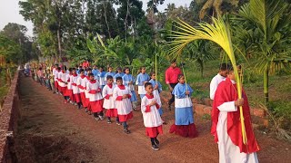 Palm sunday procession #palmsunday #holy #eucaristia #Christian