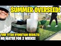 SUMMER OVERSEEDING? - SUMMA TIME PROTEC-TION RESULTS!!! 2 WEEKS NO WATER?!? WTF? 😳