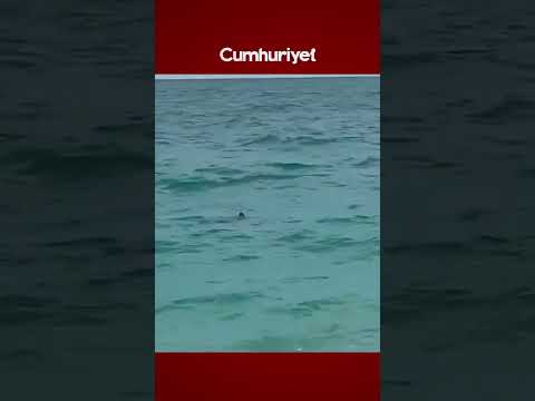 Antalya'nın Konyaaltı sahilinde