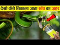देखिए कैसे सांप का ज़हर निकाला जाता है how venom is extracted from snakes