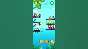 Bird 🐦 sort puzzle Level 5