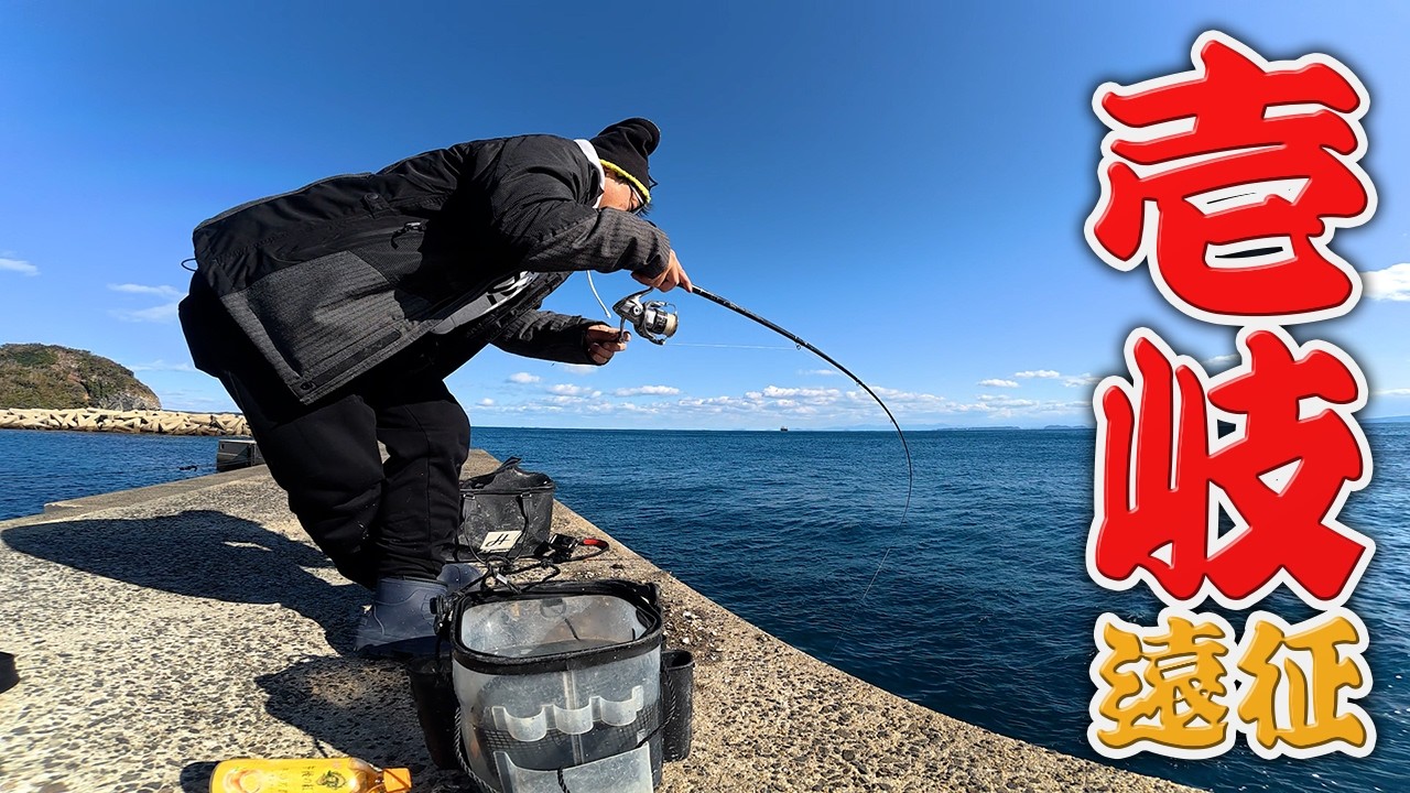 長崎「壱岐」の堤防直下で高級魚が…‼️