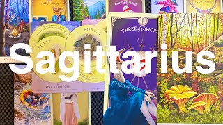 SAGITTARIUS YOU HAVE A BIGGER CALLING STEPPING IN TO A NEW EXPERIENCE MAY 2024 MONTHLY TAROT READING